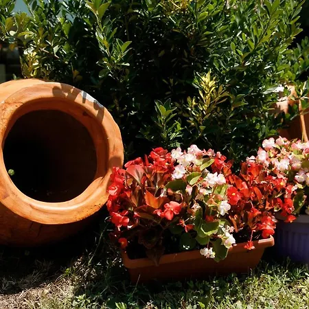 грийн парк Китен